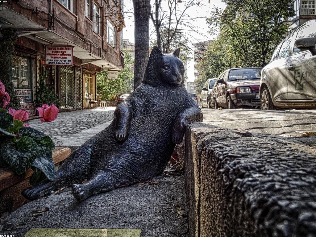 បទពិសោធន៍ថ្មីនៅក្នុងហ្គេមថ្មី