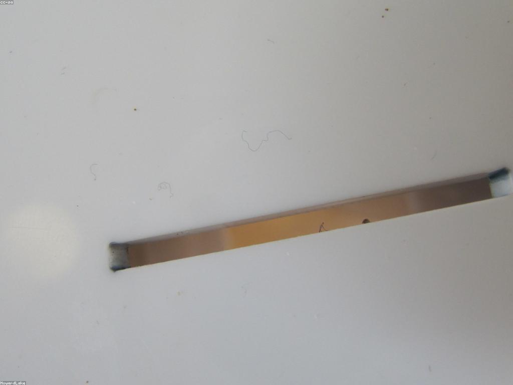 អត្ថប្រយោជន៍នៃសមាជិកភាពស្លុត