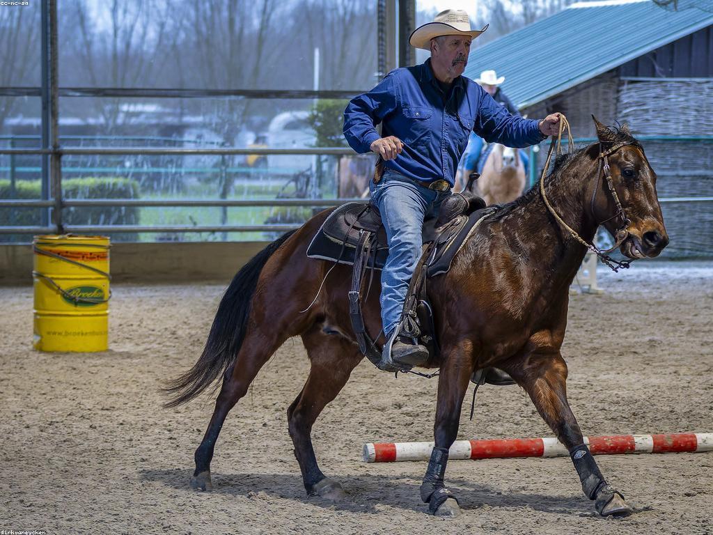ការប្រកួត: សិល្បៈនៃការប្រជែងក្នុងសង្គមទំនើប