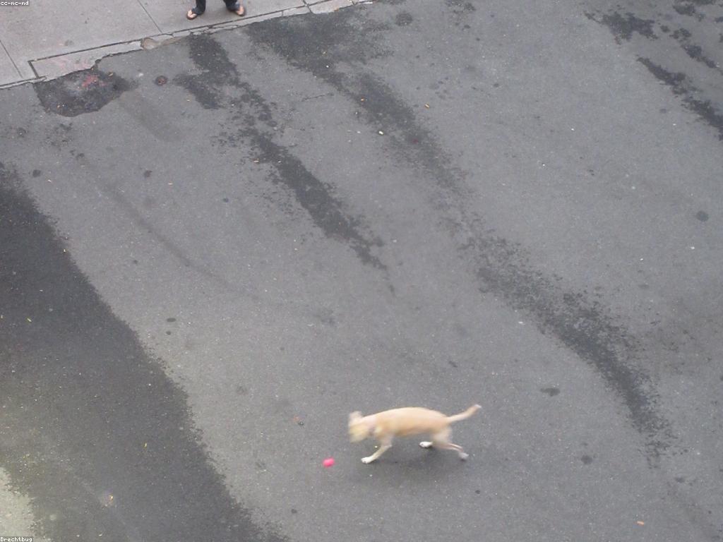 ការពិនិត្យហ្គេមថ្មី៖ របៀបកែលម្អបទពិសោធន៍ហ្គេមរបស់អ្នក